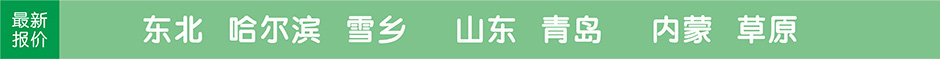 东北雪乡，哈尔滨，沈阳，山东，青岛，内蒙，旅游团最新报价