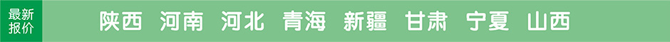 陕西，西安，河南，郑州，青海，新疆，甘肃，宁夏，敦煌，西北，旅游团最新报价